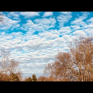 Meet your Posher, Lauryn